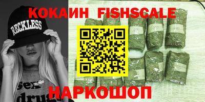 гидра Брянск