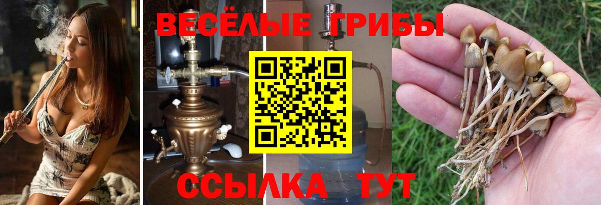 Обнинск  Псилоцибиновые грибы мицелий  Вход с VPN 