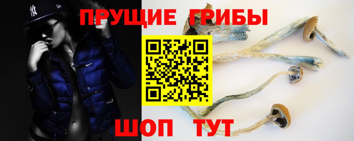 Галлюциногенные грибы MAGIC MUSHROOMS Обнинск